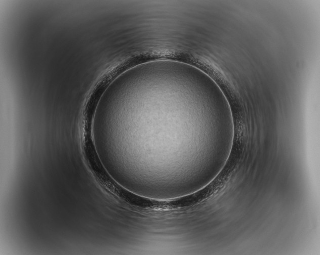 X0000096190736200801181320