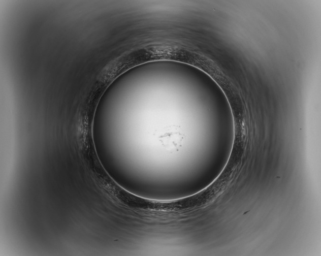 X0000096190737200801181320