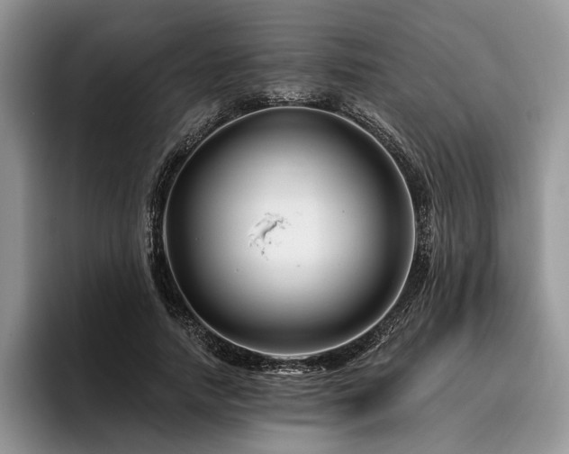 X0000096190738200801181320