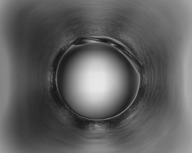 X0000096190739200801181320