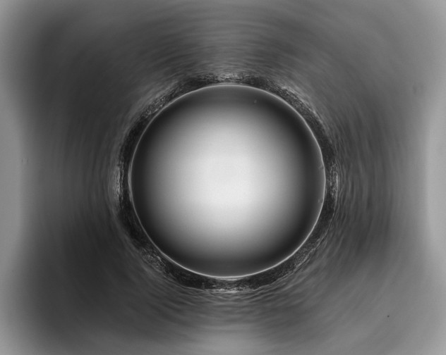 X0000096190740200801181320
