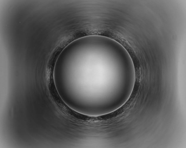 X0000096190742200801181320