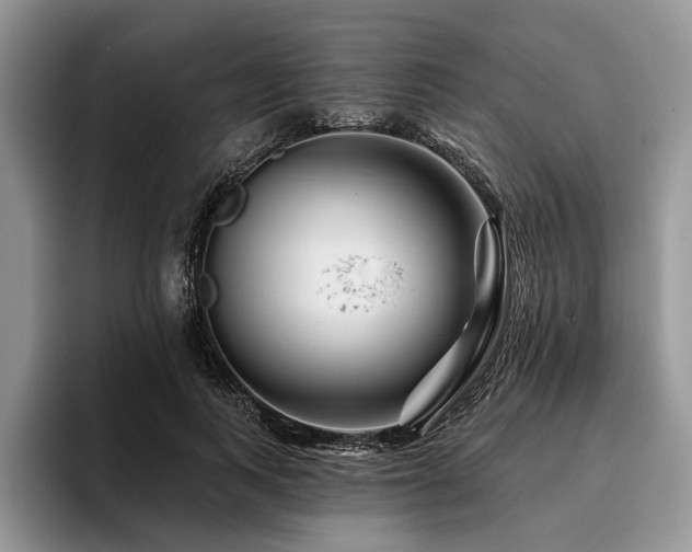 X0000096190743200801181320