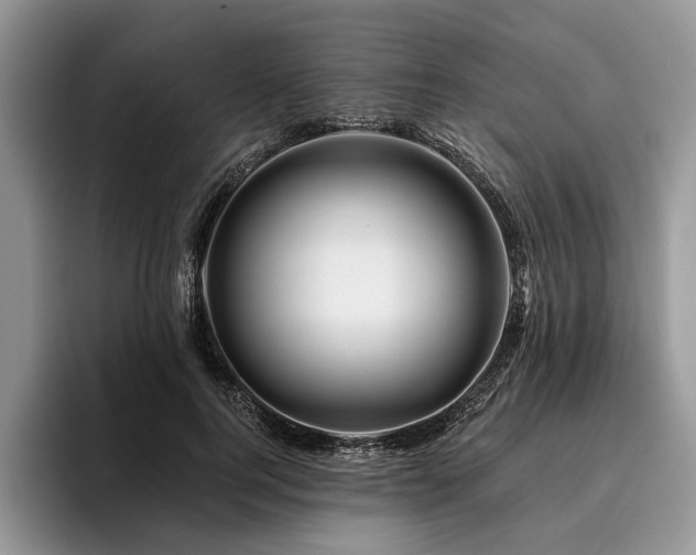 X0000096190744200801181320
