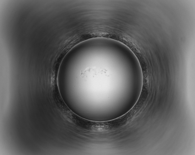 X0000096190745200801181320