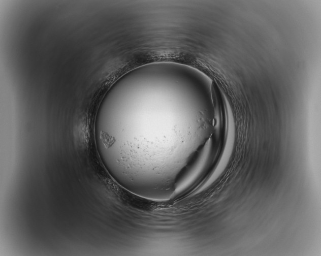 X0000096190746200801181320