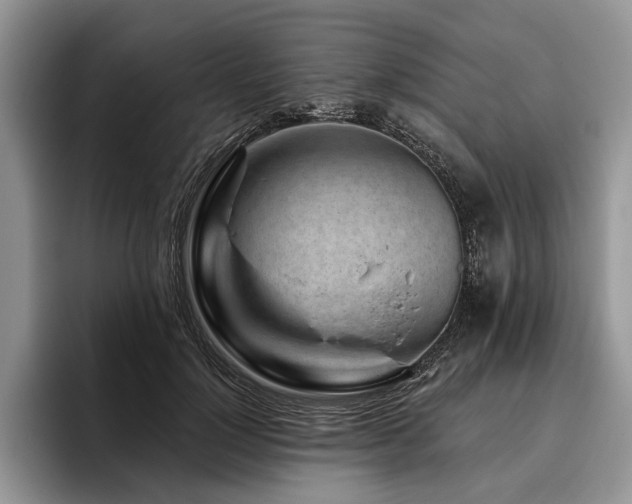X0000096190748200801181320