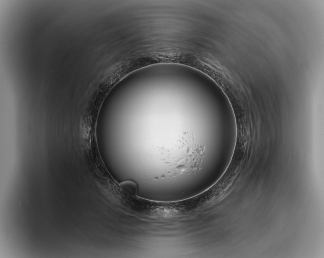 X0000096190749200801181320