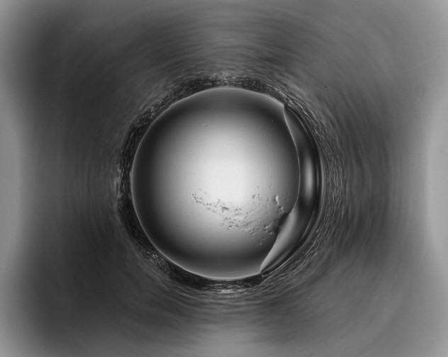 X0000096190750200801181320