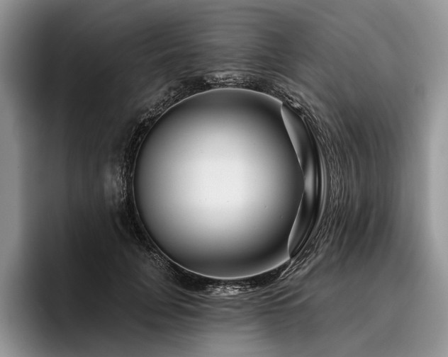 X0000096190751200801181320