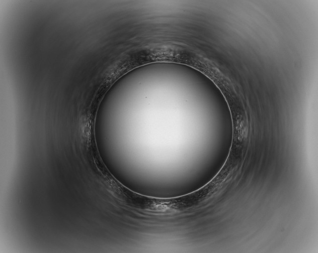 X0000096190753200801181321