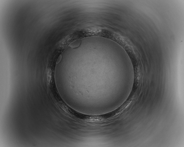 X0000096190758200801181321
