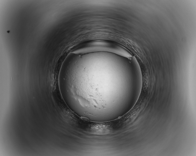 X0000096190759200801181321