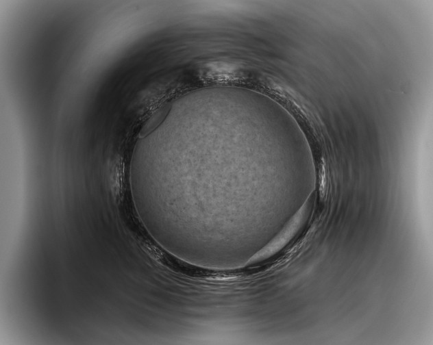 X0000096190760200801181321