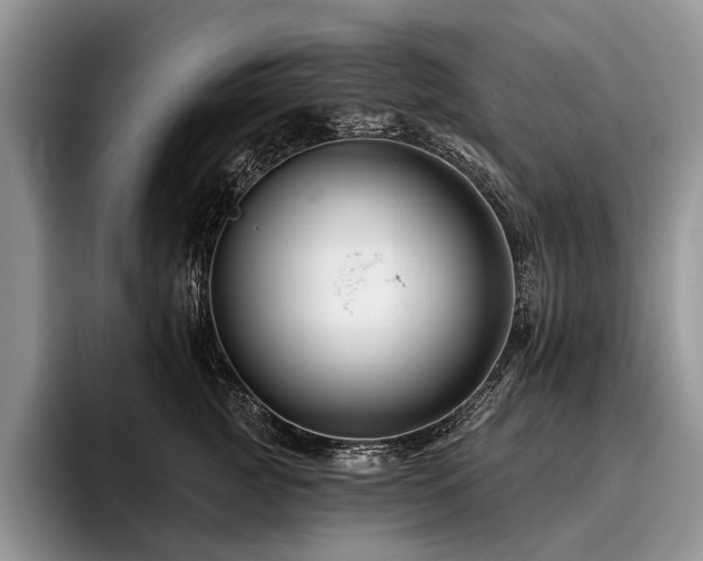 X0000096190761200801181321