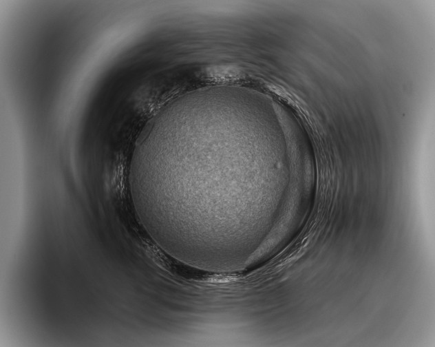 X0000096190762200801181321