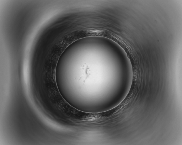 X0000096190764200801181321