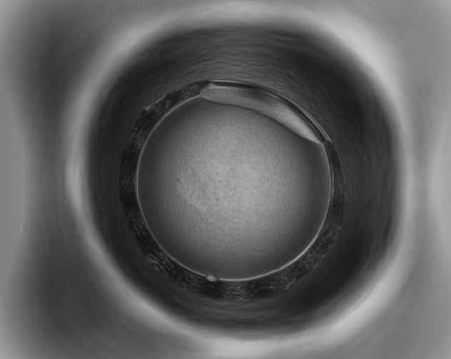 X0000096190766200801181321