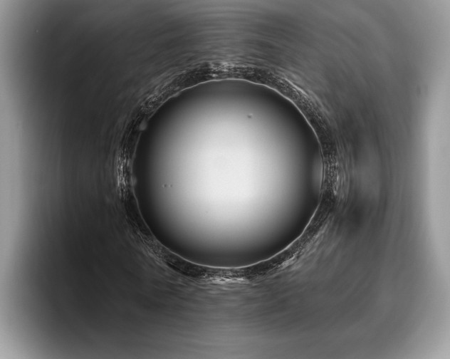 X0000096190770200801181320