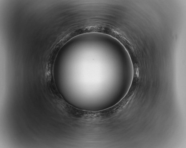 X0000096190771200801181320