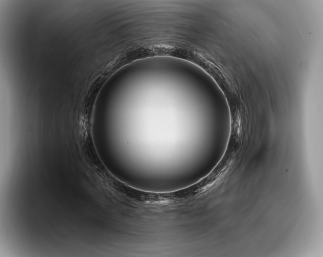 X0000096190772200801181320