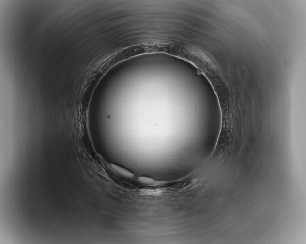 X0000096190773200801181320