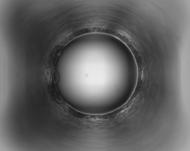 X0000096190774200801181320