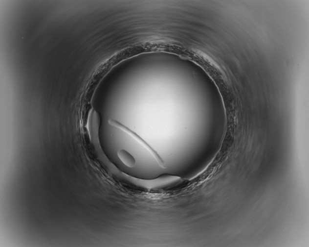 X0000096190775200801181320