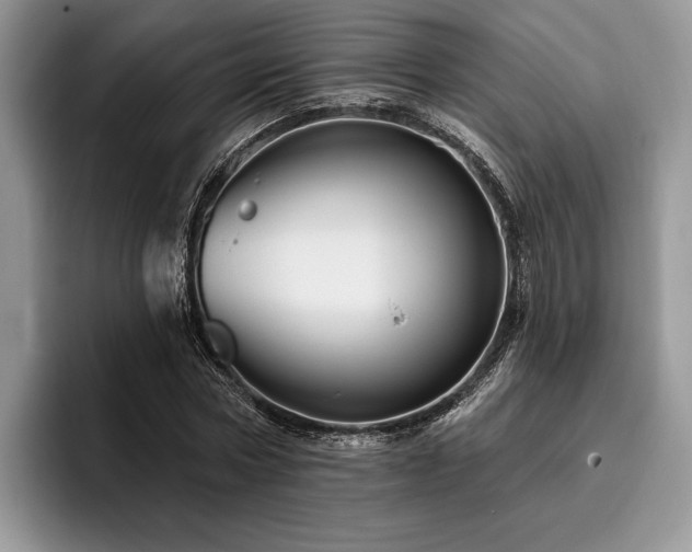 X0000096190778200801181320