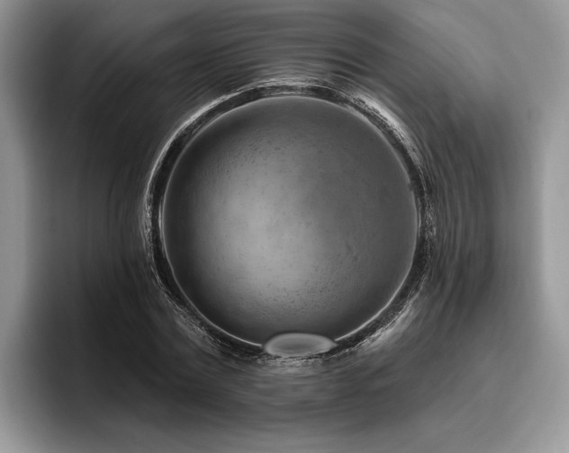X0000096190779200801181320