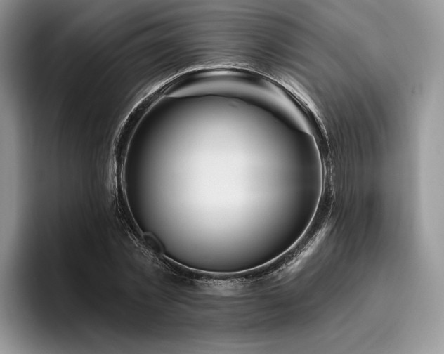 X0000096190781200801181320