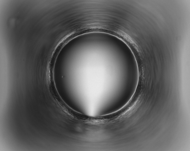 X0000096190782200801181320