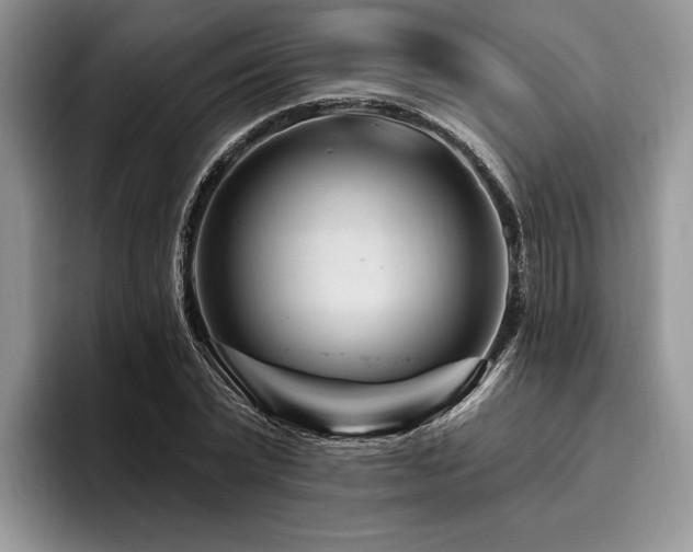 X0000096190783200801181320