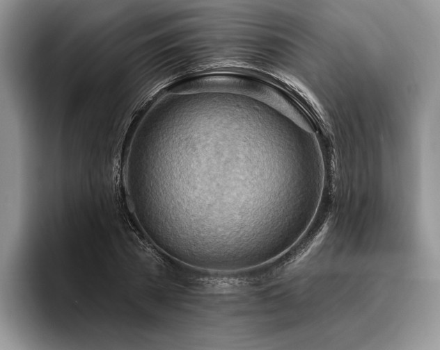 X0000096190785200801181320