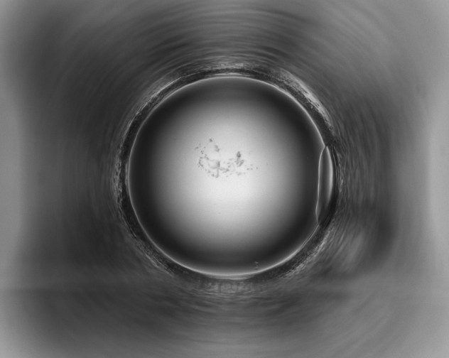X0000096190786200801181320