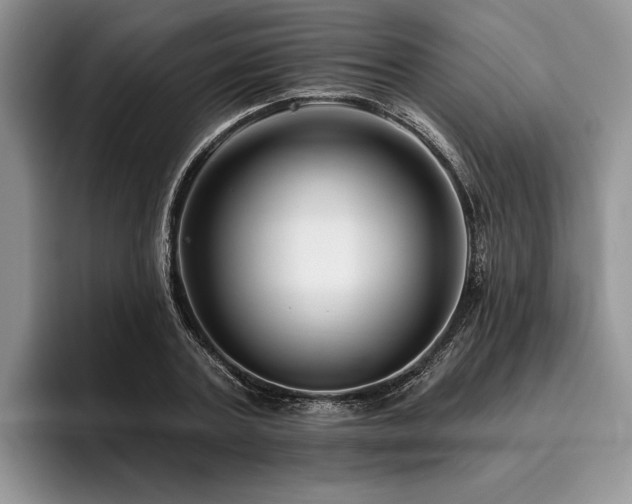 X0000096190787200801181320