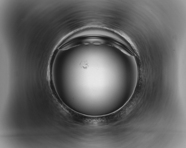 X0000096190791200801181320