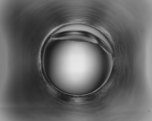 X0000096190792200801181320