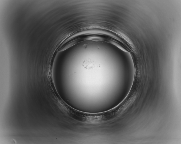 X0000096190793200801181320