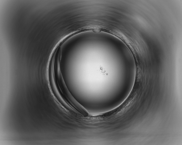 X0000096190795200801181320
