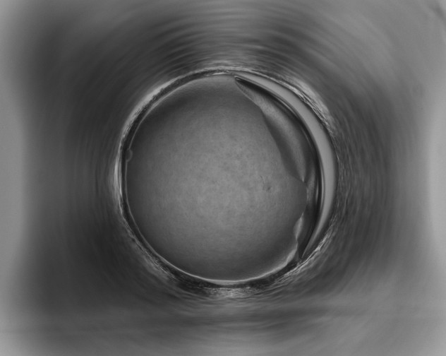 X0000096190796200801181320