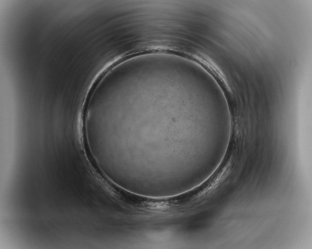 X0000096190798200801181320