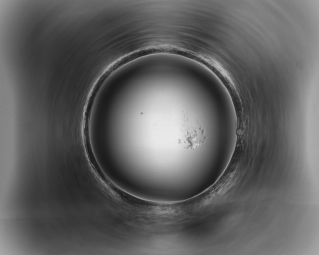 X0000096190799200801181320