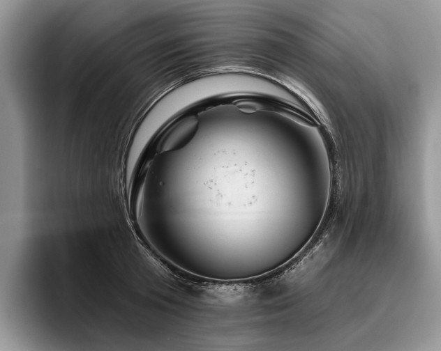 X0000096190801200801181320