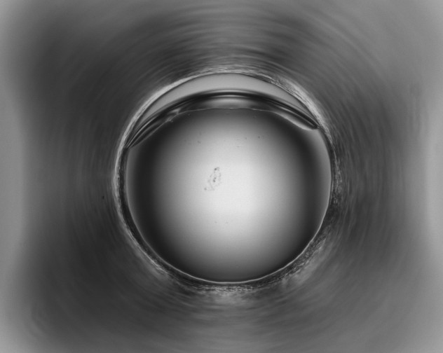 X0000096190803200801181320