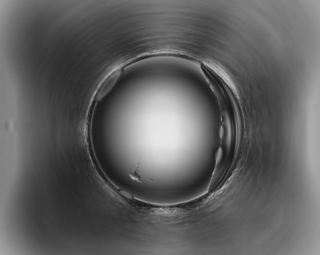 X0000096190805200801181320