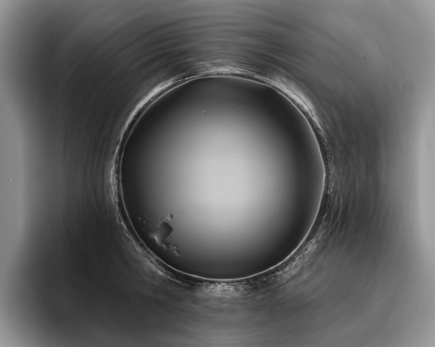 X0000096190806200801181320