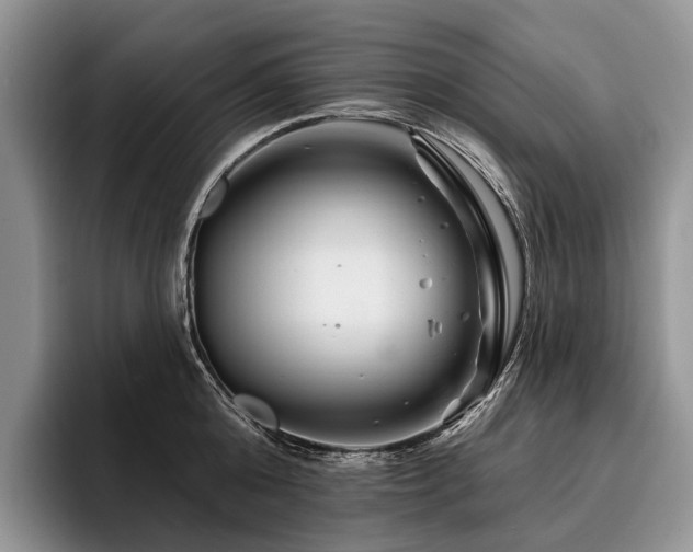 X0000096190808200801181320