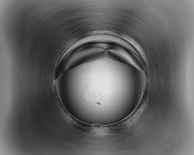 X0000096190809200801181320