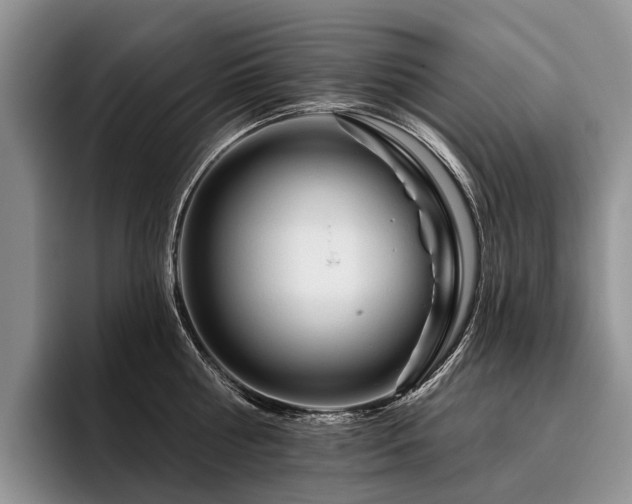 X0000096190810200801181320